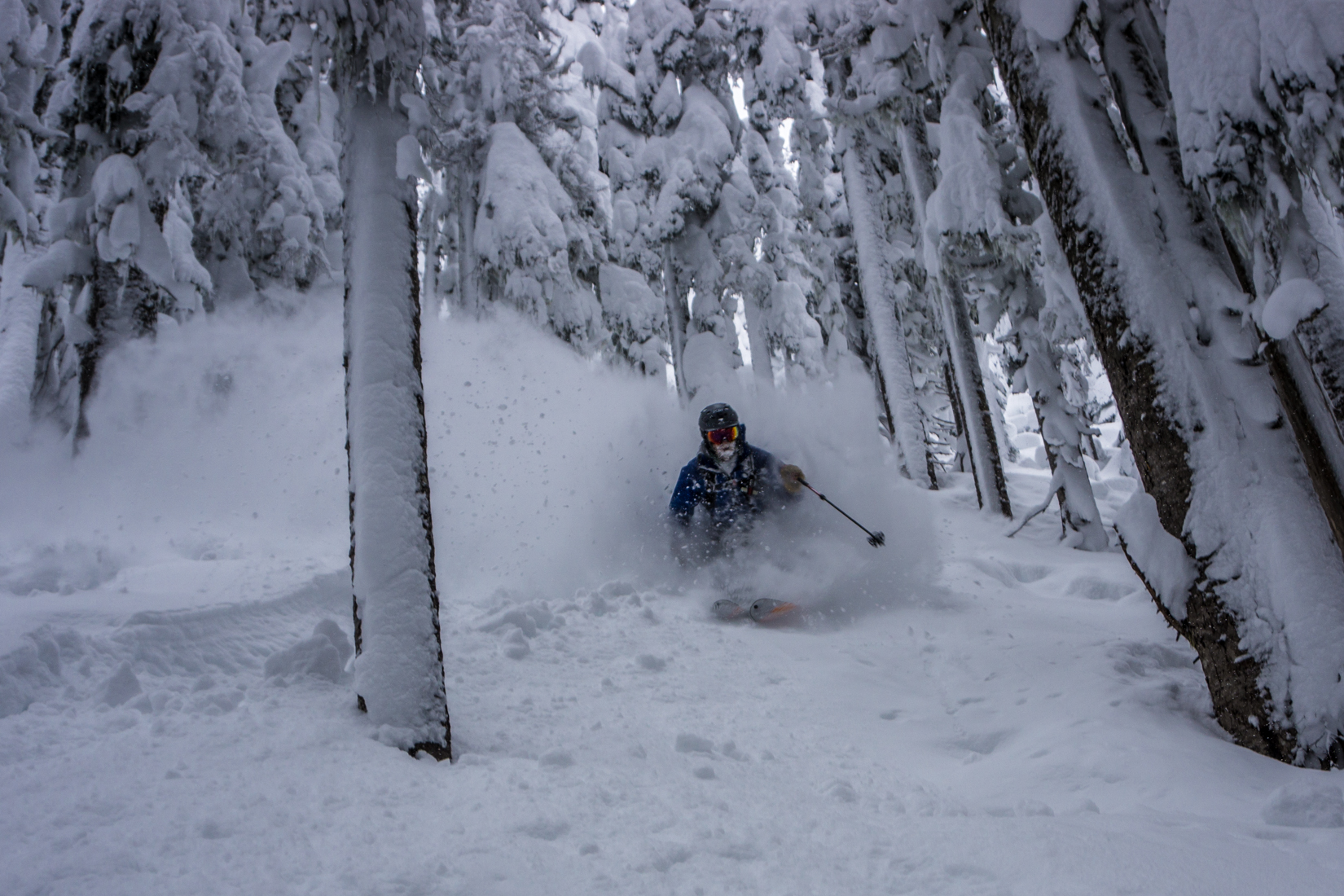 tree skiing at Stevens Pass