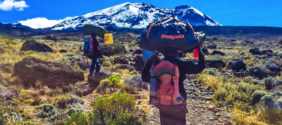Porters carrying the load up Kilimanjaro