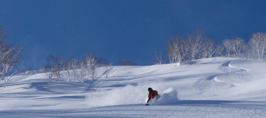 Backcountry skiing in Japan