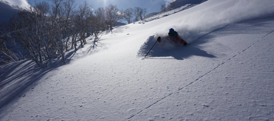 Backcountry skiing in Japan